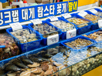 황금어장