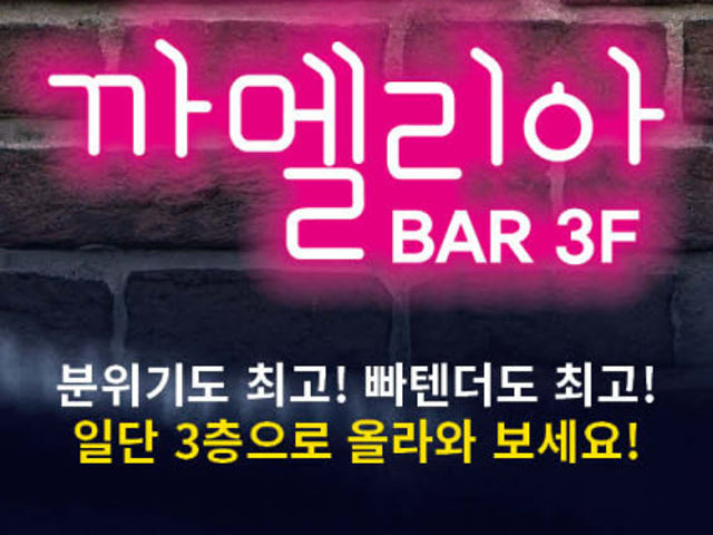 까멜리아