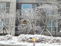 튼튼영어마스터클럽 민락라디언트캐슬점