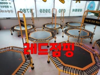 레드점핑다이어트