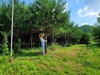 힐링에듀팜&머우네농장