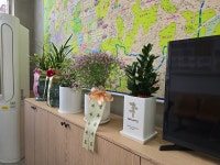 김태화부동산당진힐스테이트공인중개사사무소