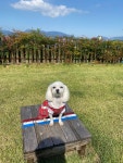 거제봄날펜션