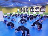 명륜 강호합기도
