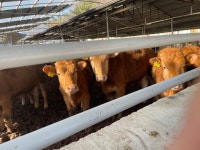 연산시장한우 연산점