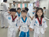 브레인박사태권도