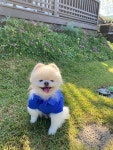 거제봄날펜션