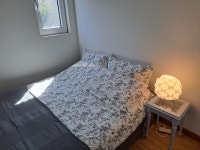 벤조롱달빛정원