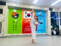 강철태권도