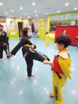 용인대합기도 장대1관