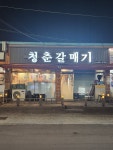 청춘갈매기