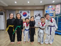 한국체대태권도