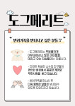 도그메리트 강아지 의정부점
