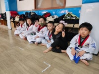 한국체대태권도