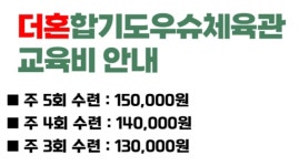 더혼합기도우슈 선암도장