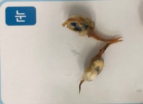 과학과학 교습소