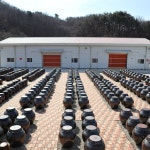 성요셉애덕수녀회농원