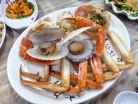 대구회식당