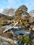 늘푸른식물원