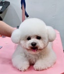 개예쁨주의
