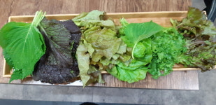 대박고기