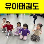 동탄2 경희대 태권도장