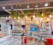 마이애체안경콘택트