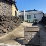 신창 그리고 제주