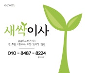 새싹이사