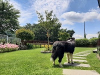 부산기장 실베네집