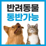 제주엔젤렌트카
