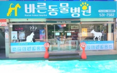 바른 동물병원