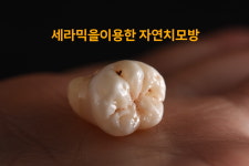 하트덴탈랩