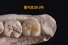 하트덴탈랩