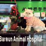 바른 동물병원