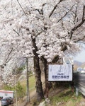 프란스테이션