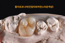하트덴탈랩