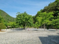별하숲캠핑장