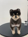 러버몽