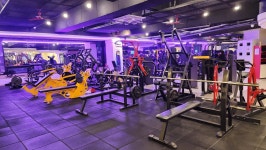 휘트니스더레이