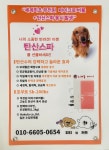 피티와커트