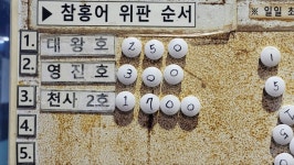흑산참홍어영어조합법인