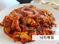 강쇠낙지마을