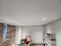 용호전기