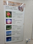 인셀덤 힐링엔젤스여천점