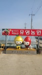 유영농원