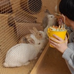 무럭무럭농장