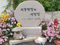 시골된장과사랑방