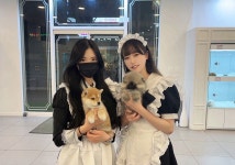 야옹아 멍멍해봐 강아지고양이 평택점