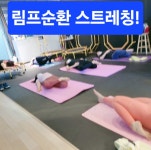 위핏점핑클럽 | 3go점핑Fit